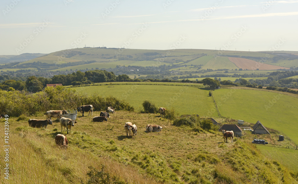 South Downs Countryside, Sussex, England