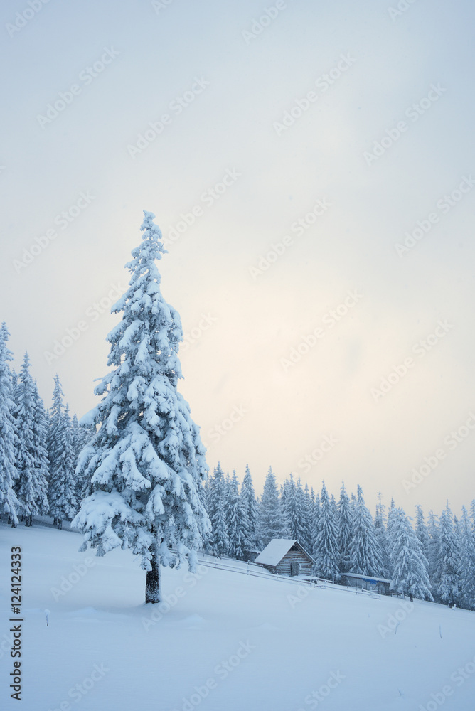 Winter landscape with wooden house in the mountains Winter landscape with wooden house in the mountains