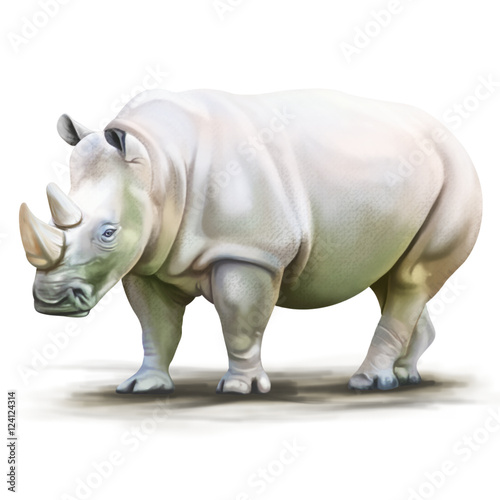 Rhino