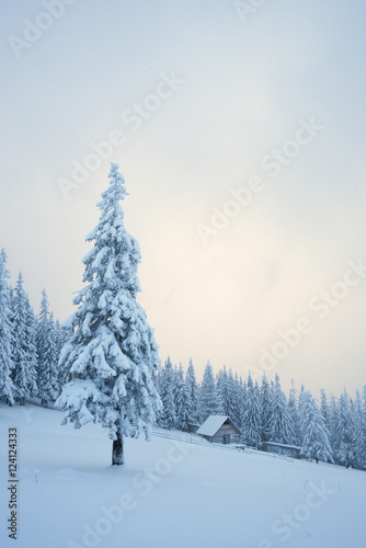 Winter landscape with wooden house in the mountains