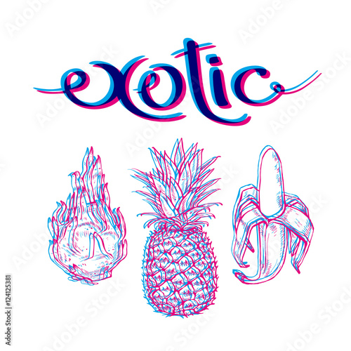 exotic fruits and vegetables inscription. Dragonfrut, pineapple, banana. The linear graphic, elements for your design. photo