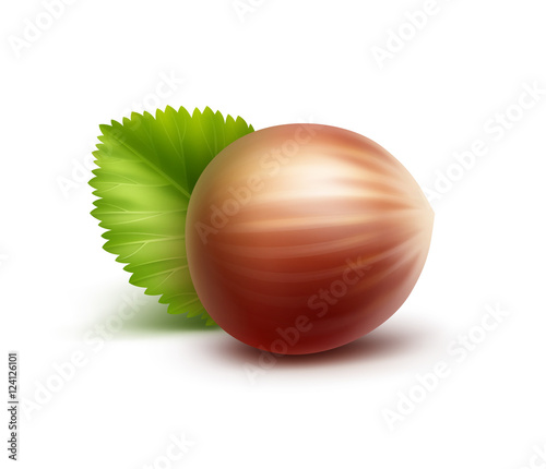 Full Unpeeled Realistic Hazelnut with Leaves on White Background