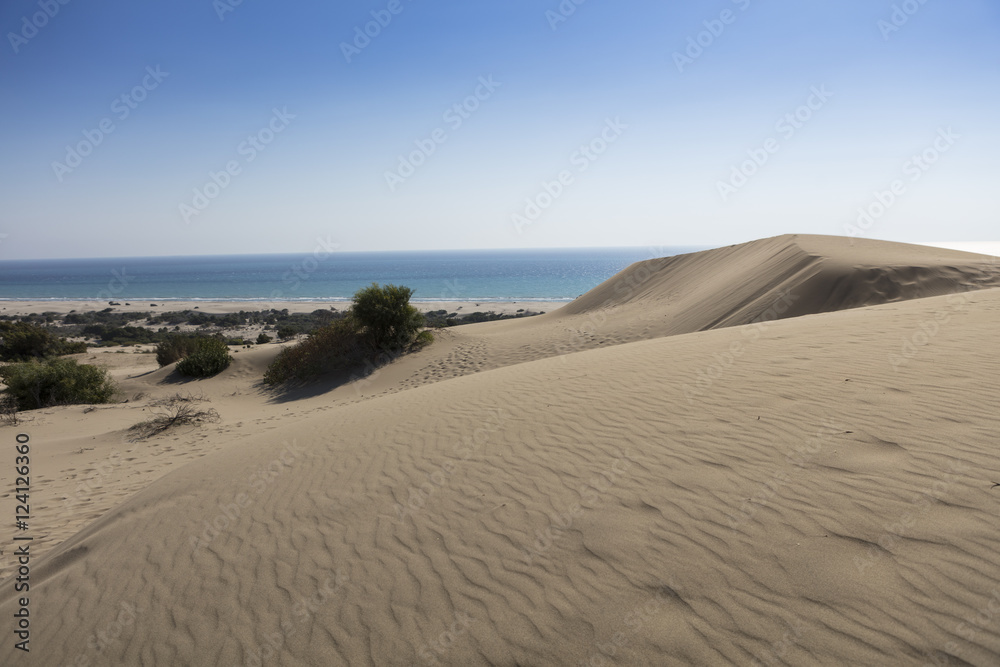 Patara Patara