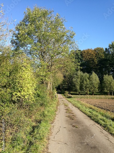 Asphaltierter Feldweg für die Landwirtschaft mit Wald, Wiesen und Feldern vor blauem Himmel im Sonnenschein zwischen Oerlinghausen und Asemissen bei Bielefeld im Teutoburger Wald in Ostwestfalen-Lippe photo