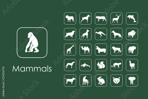 Set of mammals simple icons