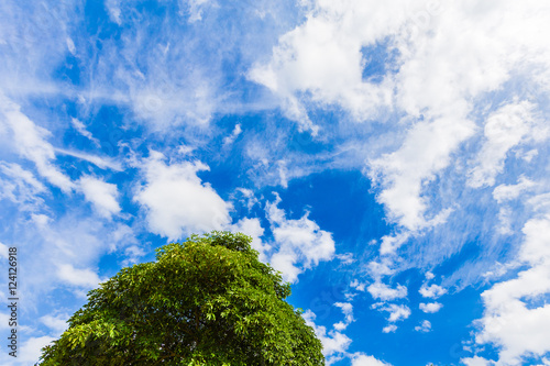 Sky blue and tree with clouds, color full tone © chayantorn