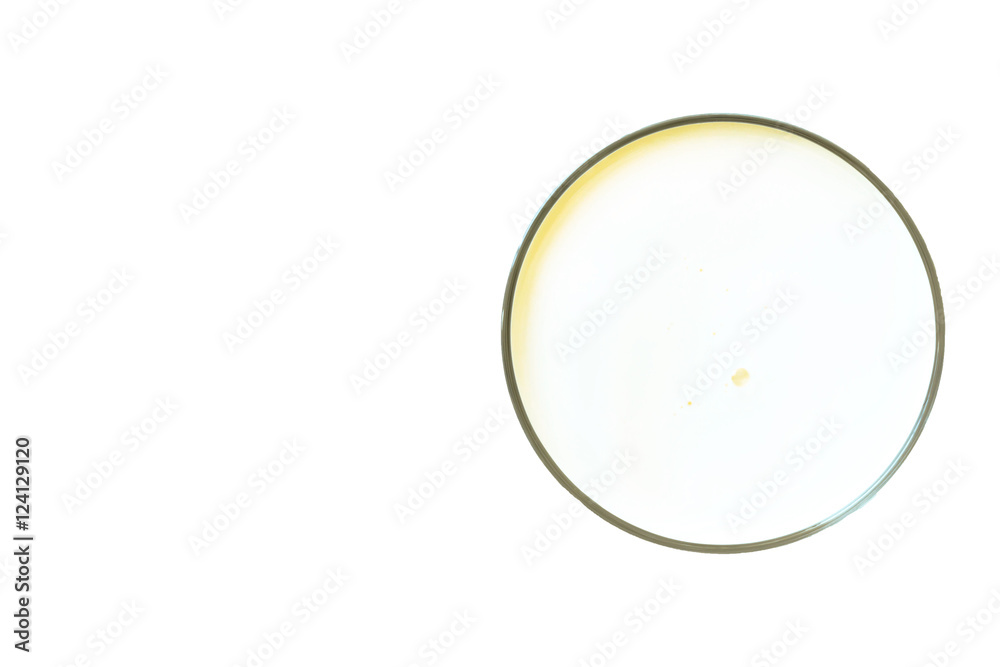 fresh milk in the glass on white background. fresh milk in the glass on white background.