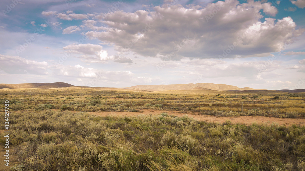 Landschaft in den Flinders Ranges im Outback South Australia, Australien