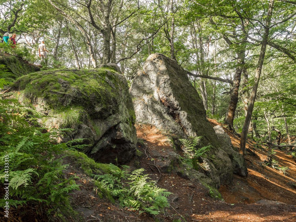 Rock formations at Alderley Edge country park, Cheshire, UK Rock formations at Alderley Edge country park, Cheshire, UK