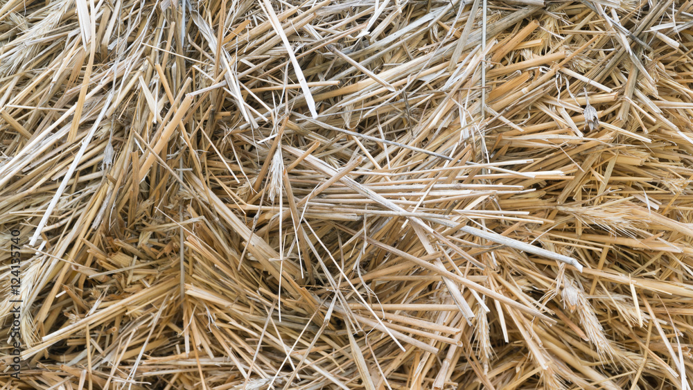 Haystack Haystack