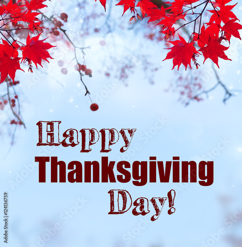 Fall red maple leaves on blue sky with happy thanksgiving day worrds text photo