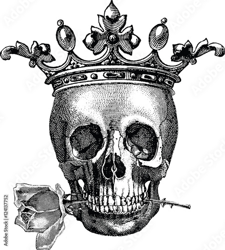 Vintage image human skull