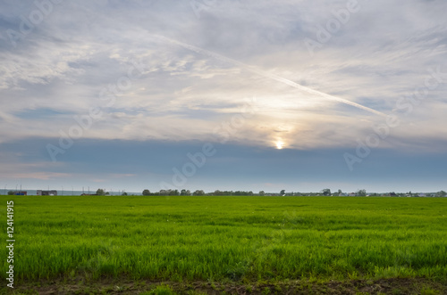 Landscape at sunset