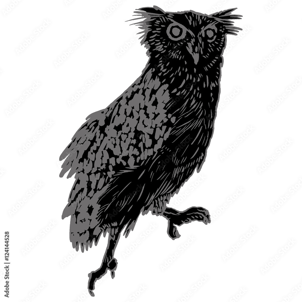 Fototapeta premium Vector handpicked hand-drawn ilustration with Owl