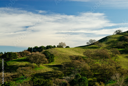 Acalanes Ridge, Lafayette, California