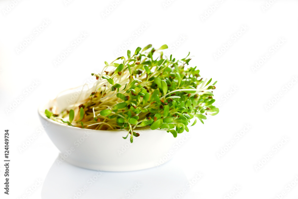 Fresh sprouts of alfalfa on white background Fresh sprouts of alfalfa on white background