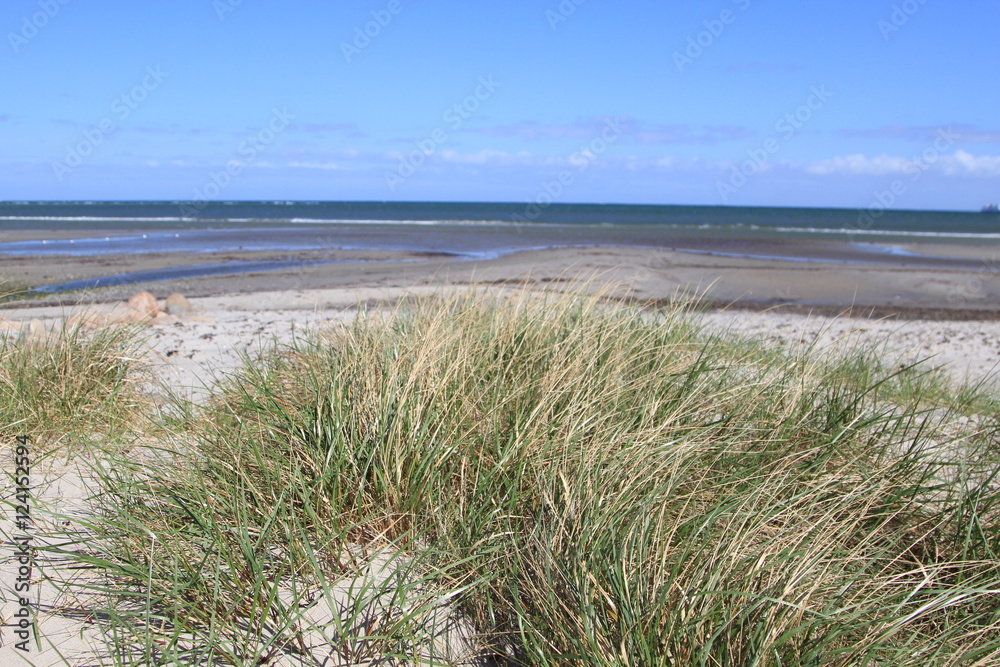 Küste der Ostsee mit verdorrtem Gras im Vordergrund auf Fehmarn Küste der Ostsee mit verdorrtem Gras im Vordergrund auf Fehmarn
