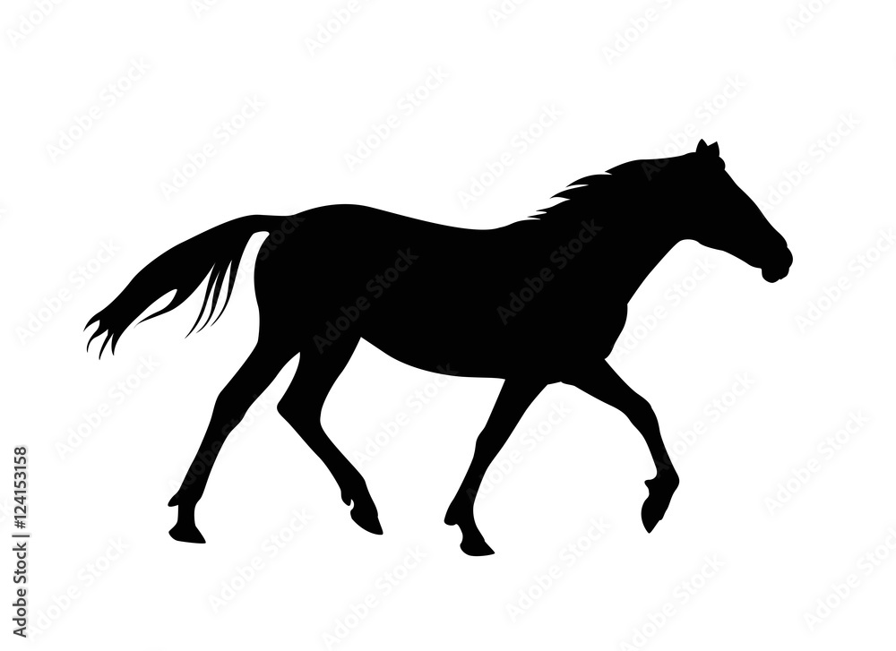 Vector silhouette of running horse