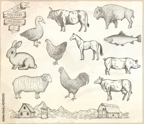 Farm collection vector.