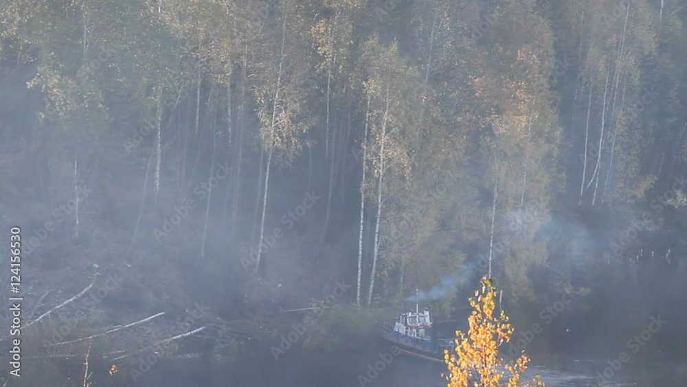 пожар в лесу