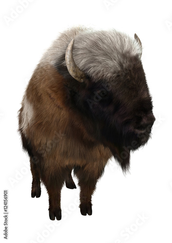 3D Rendering American Bison on White