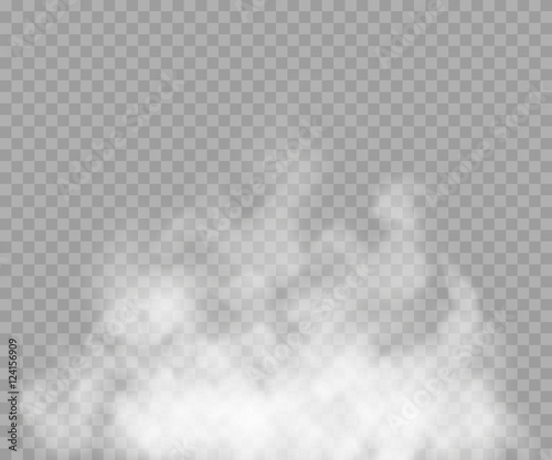 Fog or smoke isolated transparent special effect. White vector cloudiness, mist or smog background. Vector illustration photo