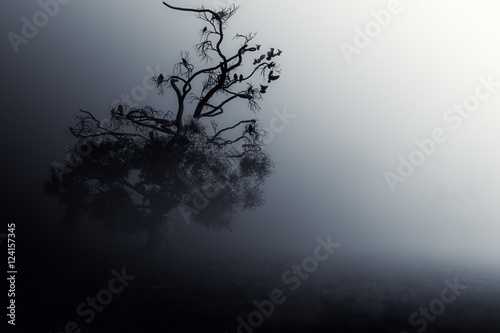 Spooky Tree Dark Night ./Halloween background. © Dark Illusion