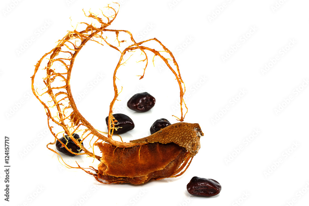 Fototapeta premium sweet tamarind