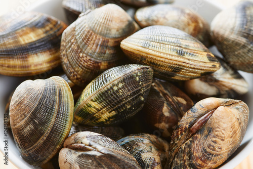 Raw clams close up