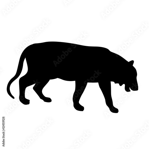 Tiger vector illustration black silhouette