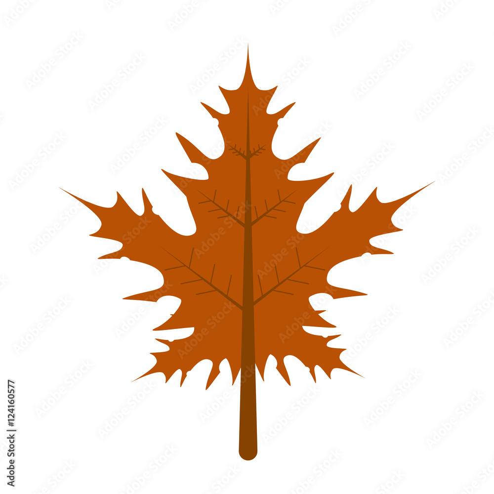Obraz premium leaf autumn isolated icon vector illustration design