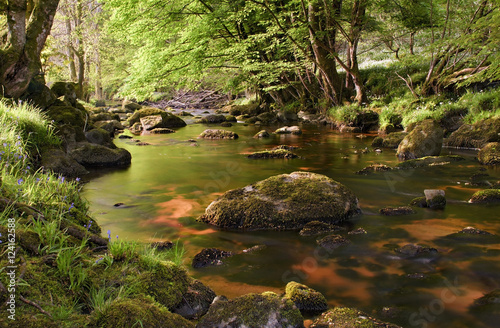 Fototapeta Naklejka Na Ścianę i Meble -  Beautiful glencree river flowing through magical landscape