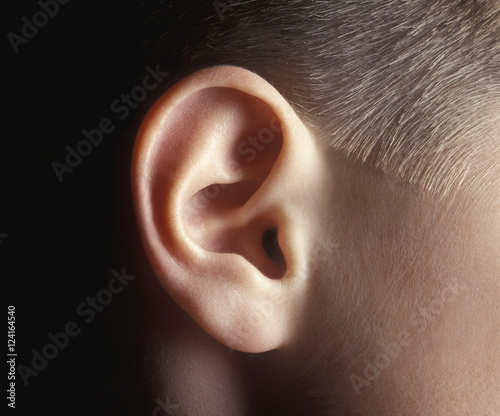 Ear