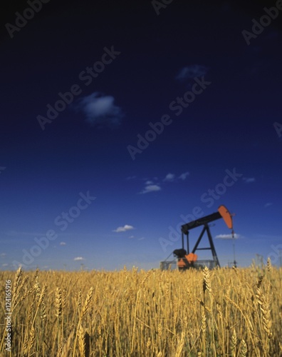 Oil Pump In Wheat Field photo