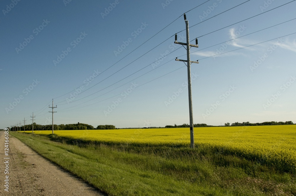 Manitoba, Canada; Power Lines