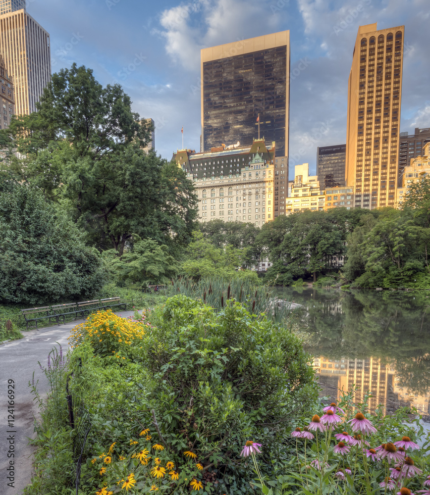 Fototapeta premium Central Park, New York City
