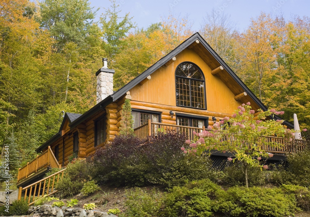 View of log house surrounded by trees in autumn View of log house surrounded by trees in autumn