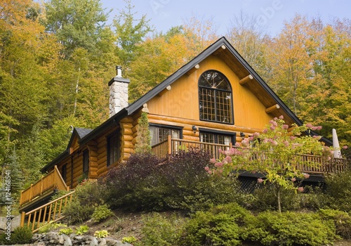View of log house surrounded by trees in autumn