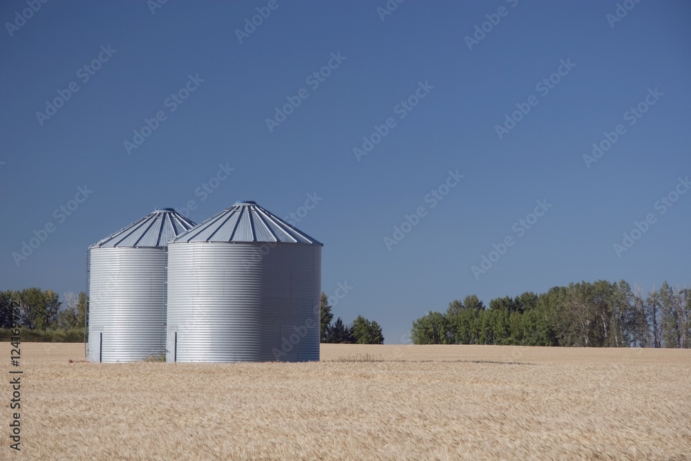 Alberta, Canada; Two Metal Grain Bins In A Ripe Wheat Field Alberta, Canada; Two Metal Grain Bins In A Ripe Wheat Field