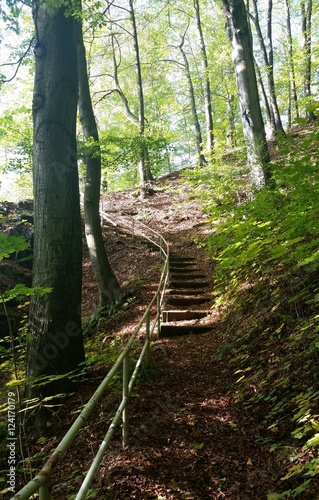 Aufstieg - Abstieg - Treppen im Wald - Waldweg - Treppenstufen mit Gel  nder