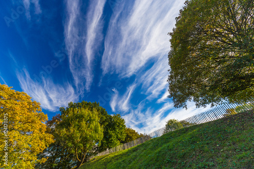 Autumnal trees and dramatic blue polarised sky, Namur, Belgium