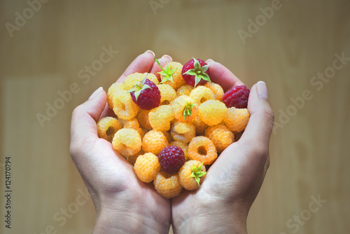 In the hands of a fresh raspberry