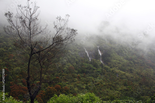 Foggy morning in mountains, Sri Lanka