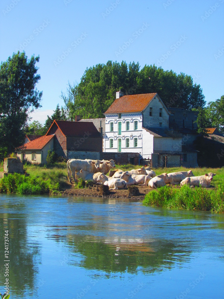 Obraz premium la côte d'Opale 