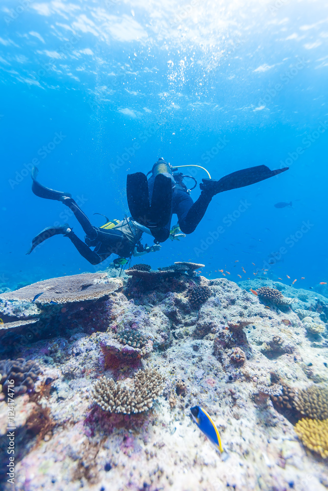Fototapeta premium A diver swims above the ocean floor with a reef, Maldives