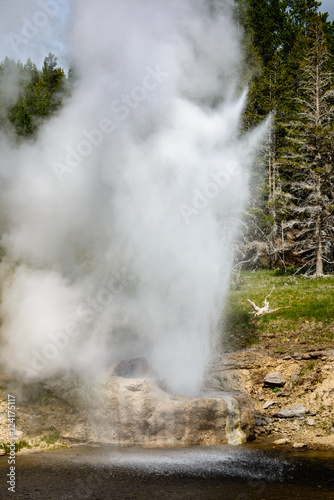 Yellowstone National Park