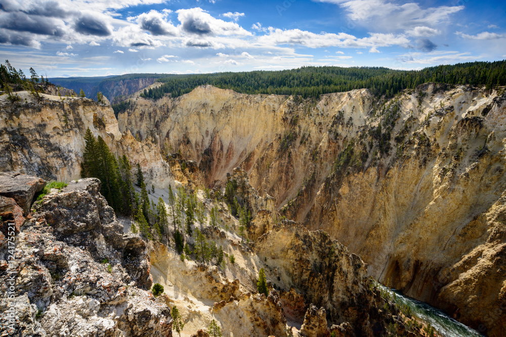 Fototapeta premium Yellowstone National Park