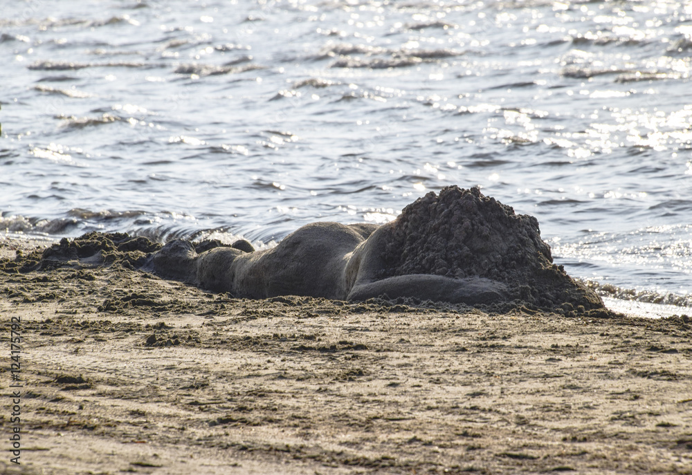 Obraz premium The girl from the sand