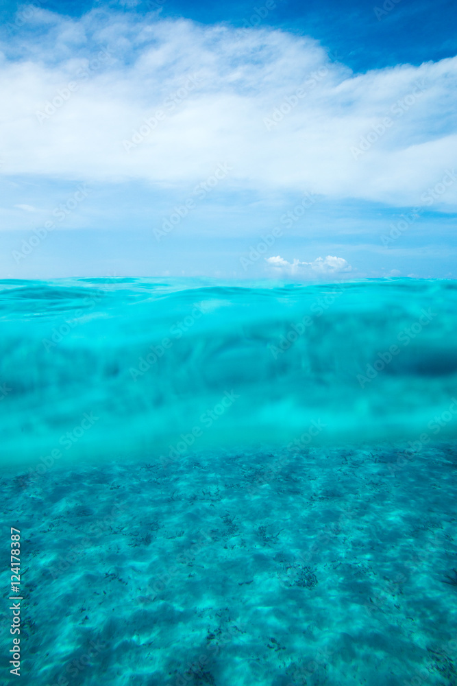 Fototapeta premium Tranquil underwater scene with copy space