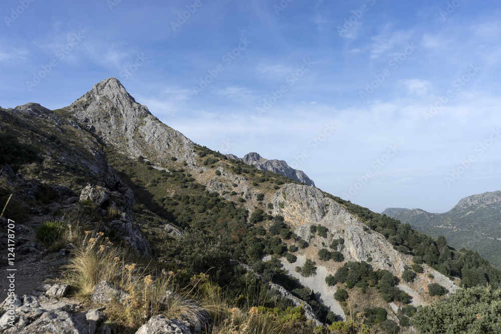 paraje natural de la sierra de Grazalema en la provincia de Cádiz, Andalucía, pico de San Cristobal